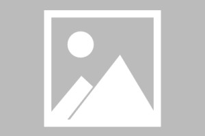 世界山地马拉松：荒野赛段考验参赛者意志，国际山地马拉松赛