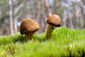 世界游泳选手伤病预防与训练负荷研究发布，游泳运动受伤率是多少