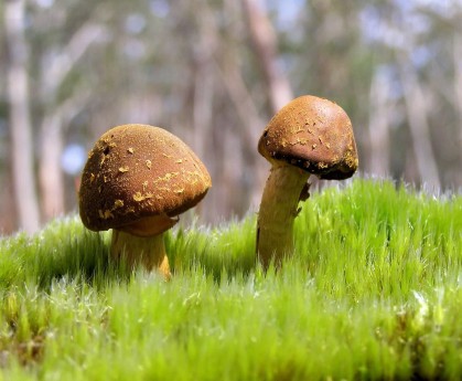 世界游泳选手伤病预防与训练负荷研究发布，游泳运动受伤率是多少